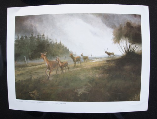Poster art print frank - poster,