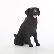 Schwarze Labrador Retriever