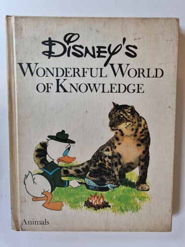 Disney wonderful world of - disney's,