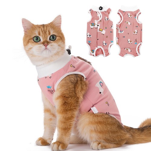 Katzenbody nach kastration - op,
