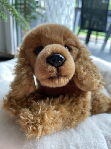 Teddy hermann cocker - hermann, spaniel