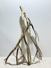 Talawa Wurzel XXL ähnlich