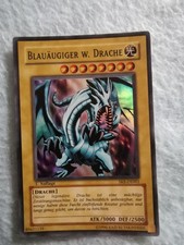 Blauäugiger Weißer Drache 1