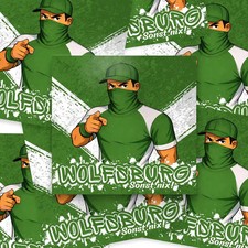 100x Wolfsburg Aufkleber/