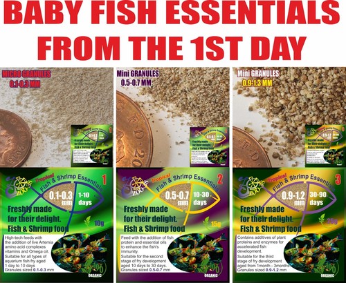 Artemia fish protein für - artemia,