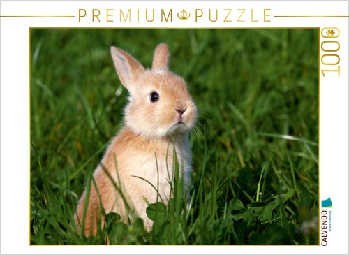 Calvendo puzzle ein motiv - calvendo,