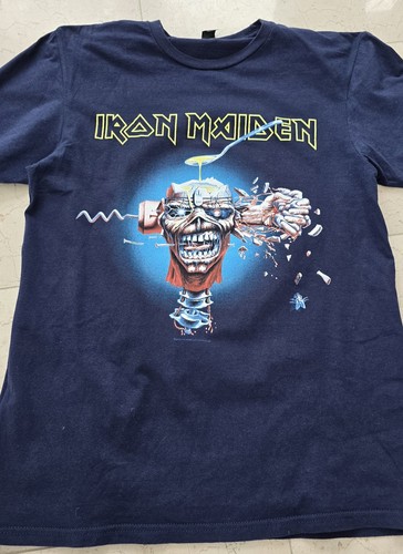 Iron maiden the future past - the,