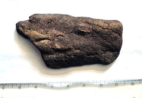 Große dinosaurier knochen - große, uk