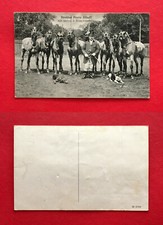 AK Zirkus um 1910 Circus