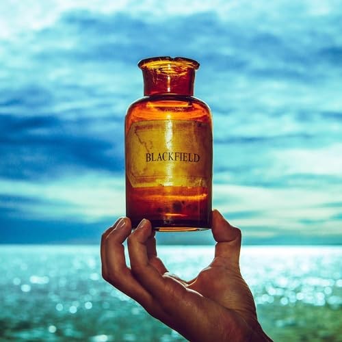 Blackfield - v,,