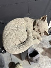 Schöne liegende Katze Luna -