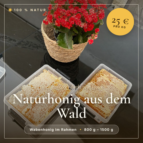 Bio wabenhonig honigwabe - bio,