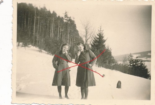 37554 foto wk - nr.37554,