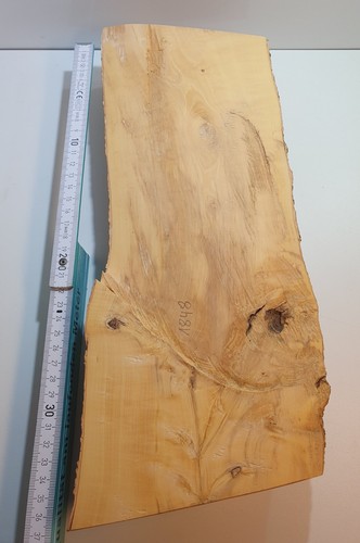 Halb stamm drechselholz - 1,