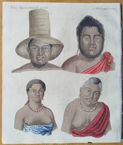 Bewohner von hawaii bertuch - bewohner,
