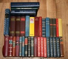 35 Bücher, Romane, Erzählungen, Klassiker, Werke in LEDER gebunden. Paket.