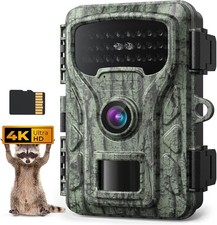 Wildkamera Tierkamera