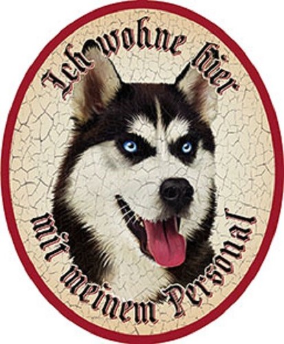 Hund husky nostalgieschild - hund,