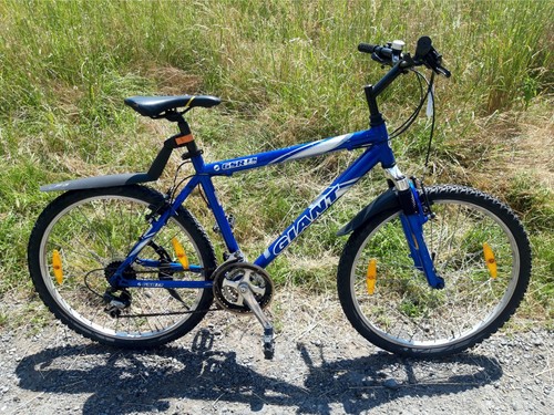 26er herrenrad giant - 26er,