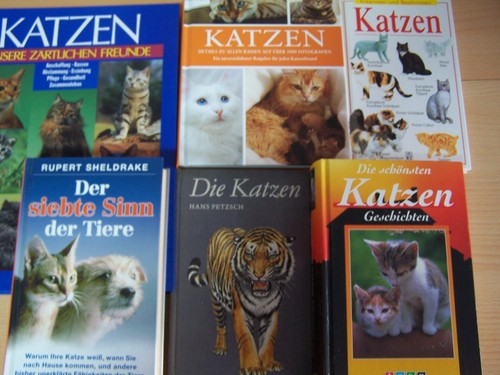 Bücher über katzen unsere - bücher,