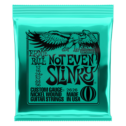Ernie ball not - not, slinky