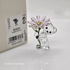 Swarovski Kris Bär Ein