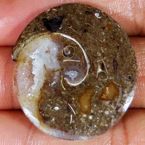 Natürlich fossil - natürlich,