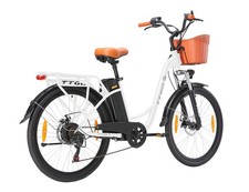 26 Zoll Elektrofahrrad 250W