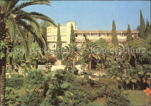 Sotschi woroschilow sanatorium - woroschilow,