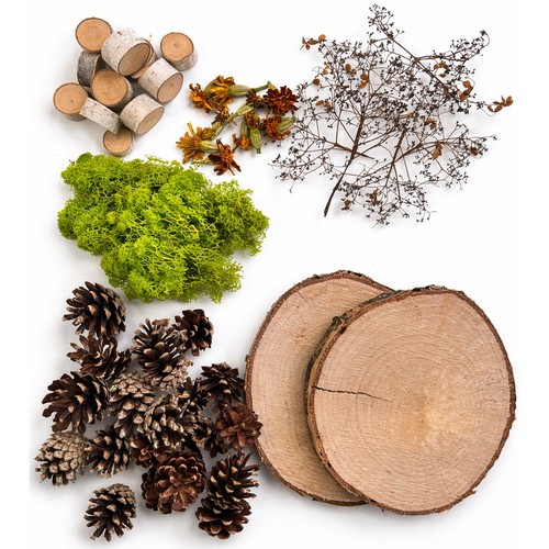 Natur deko set diy birkenholz - natur,