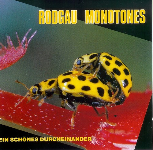 Rodgau monotones ein schönes - rodgau,