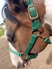 Hamilton Halfter  in der Größe Average mit Snap, Nylon, Stabil und Langlebig