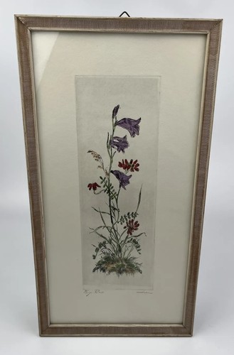 Vintage blumen farbradierung - vintage,