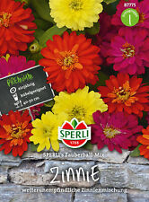 2x Zinnie 'Zauberball-Mix' - Zinnia marylandica, kübelgeeignet, Samen, 87775