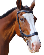 Equine Balance anatomischer