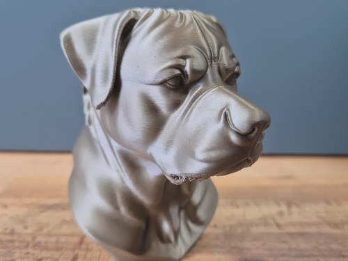 Rottweiler büste realistic - rottweiler, /