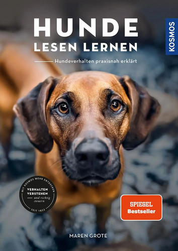 Hunde lesen lernen maren - lesen,