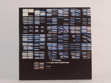 TRANSISTER LOOK WHO'S PERFECT NOW (BLACK) (E64) 4 Track CD Single including Card