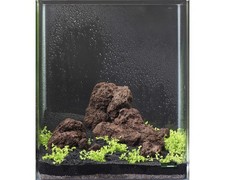 Aquarien-Wasserpflanzenpaket