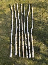 7stk Birkenstamm 190 cm ø 3-4,5 cm Birkenholz Birke Deko Holz Stamm