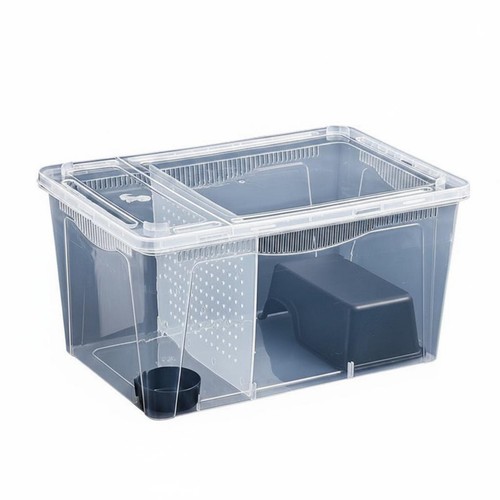Reptilien aufzuchtbox aus - reptilien,