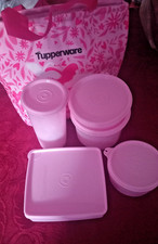 🌺 Tupperware Lady Set Rosa