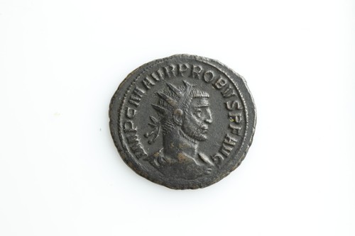 Probus clementia temp - probus,