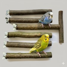 6 Sitzstangen für Vögel