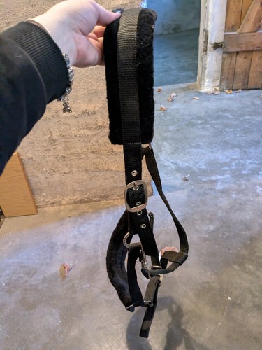 Halfter schwarz full - halfter,