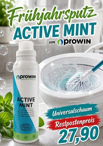 Prowin active mint 1000 - active,