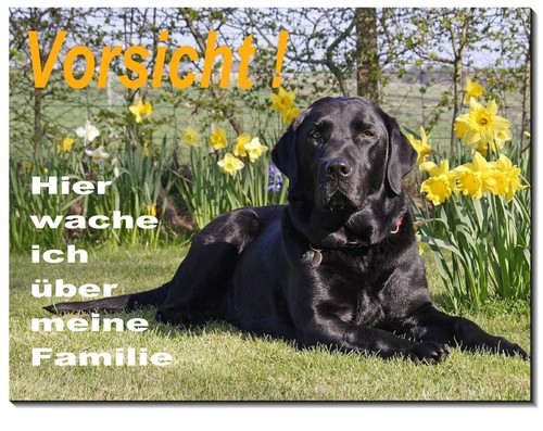 Labrador-Hund-Aluminium-Schild