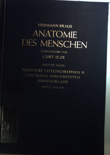 Anatomie des menschen - menschen:, dritter