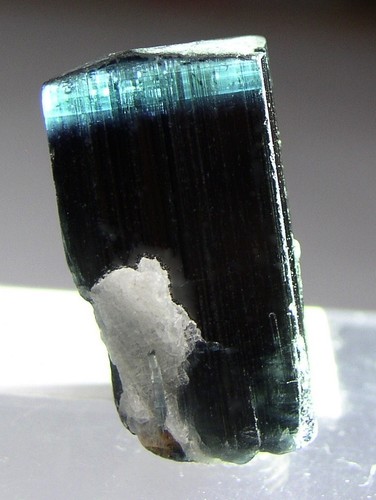 Turmalin blue cap - cap, albit