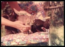 Zwei Katzen auf einem